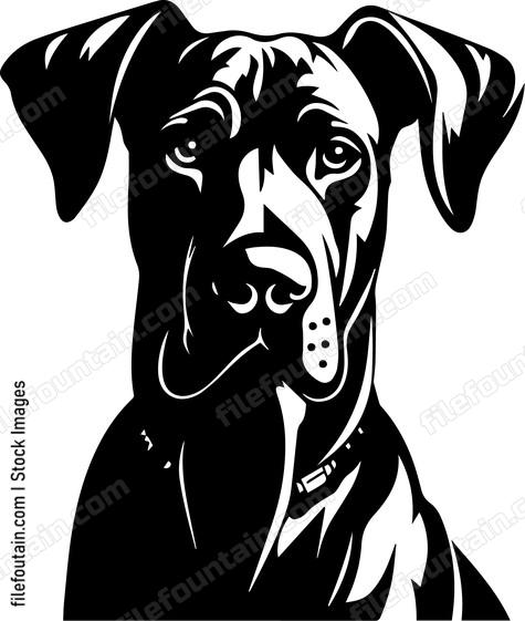 Great Dane