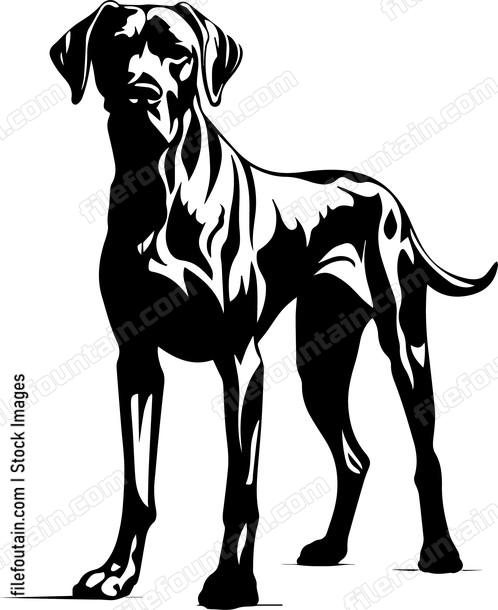 Great Dane