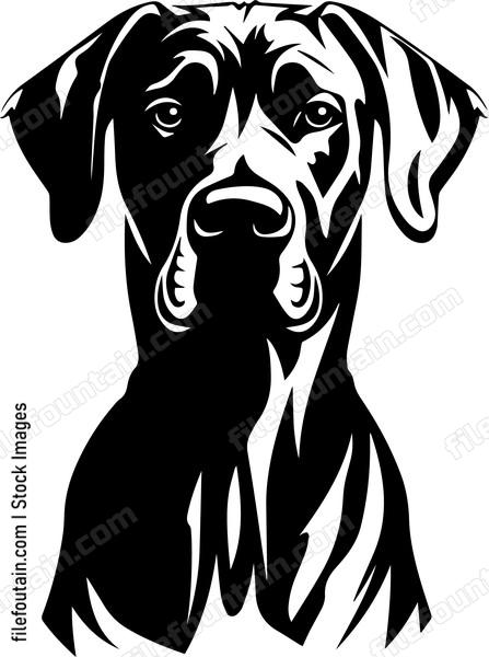 Great Dane