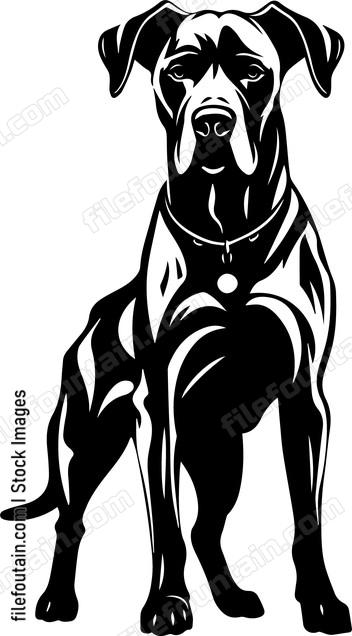 Great Dane