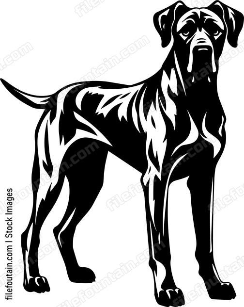 Great Dane