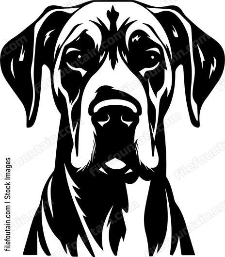 Great Dane