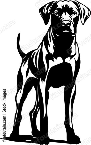 Great Dane