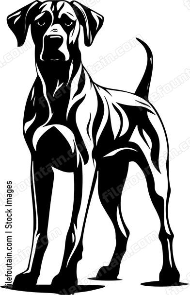 Great Dane
