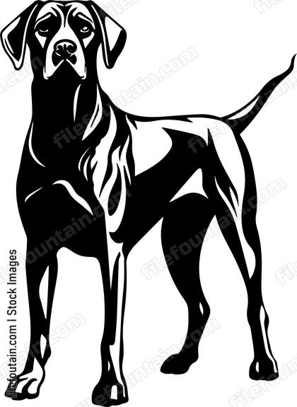 Great Dane