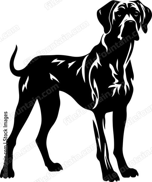 Great Dane
