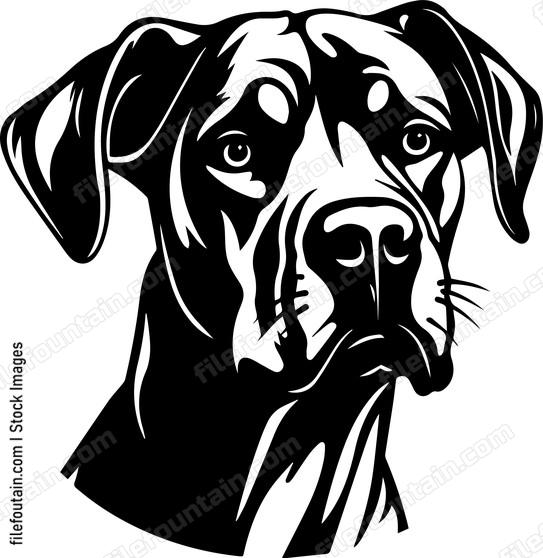 Great Dane