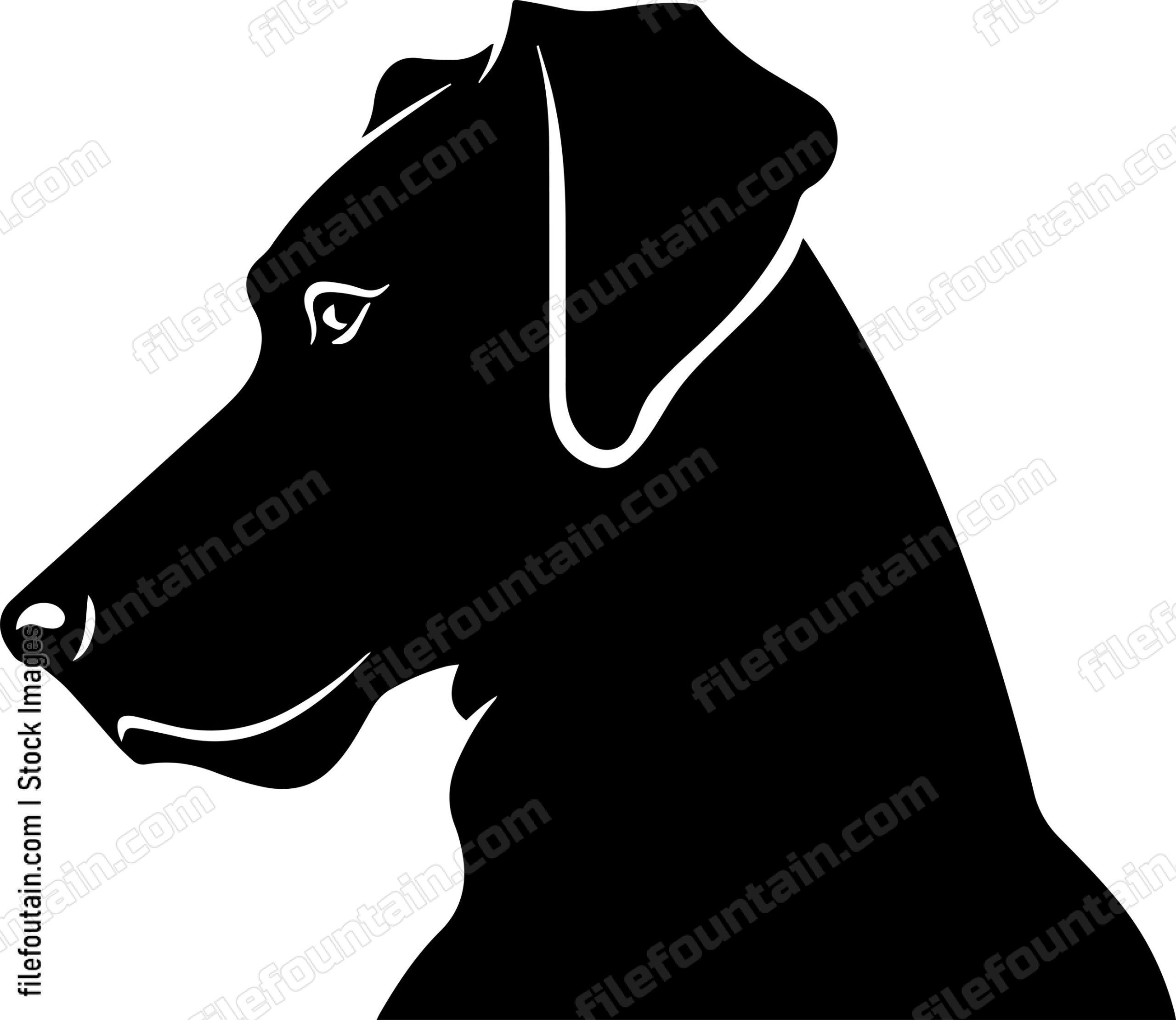 Great Dane