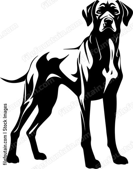 Great Dane