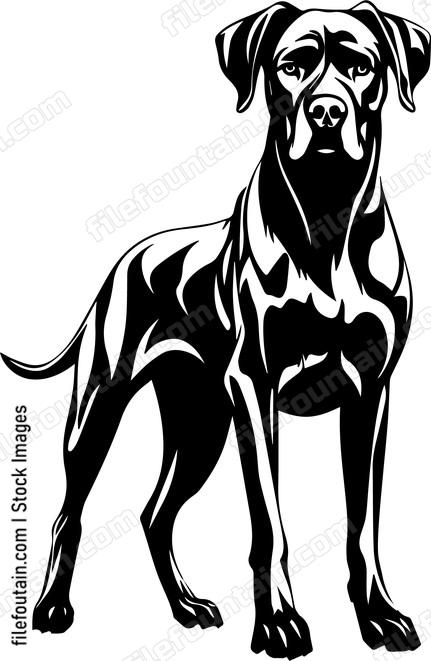 Great Dane