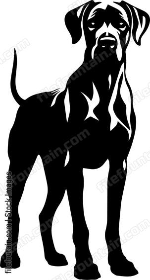 Great Dane