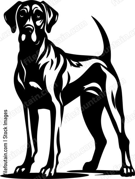 Great Dane