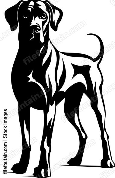 Great Dane