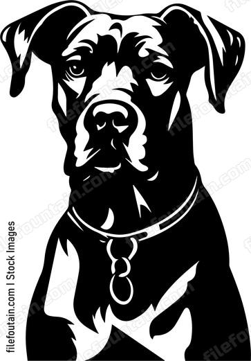 Great Dane