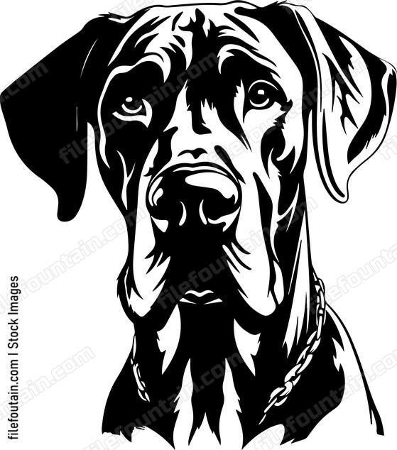 Great Dane