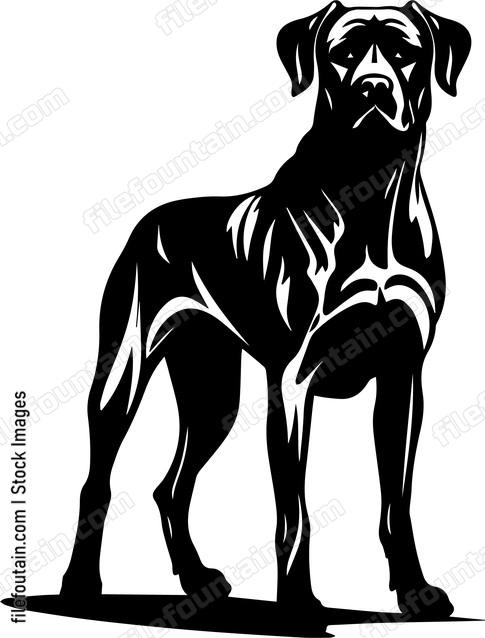 Great Dane