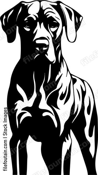 Great Dane