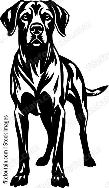 Great Dane