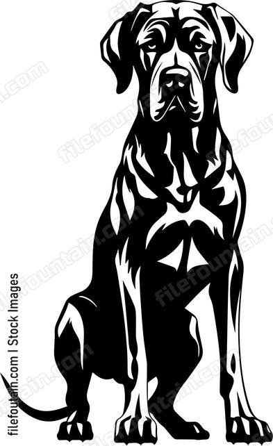 Great Dane