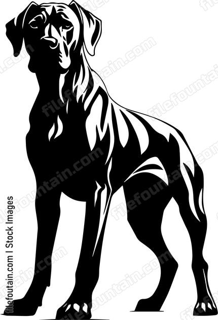 Great Dane