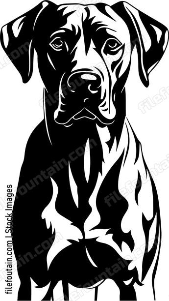 Great Dane