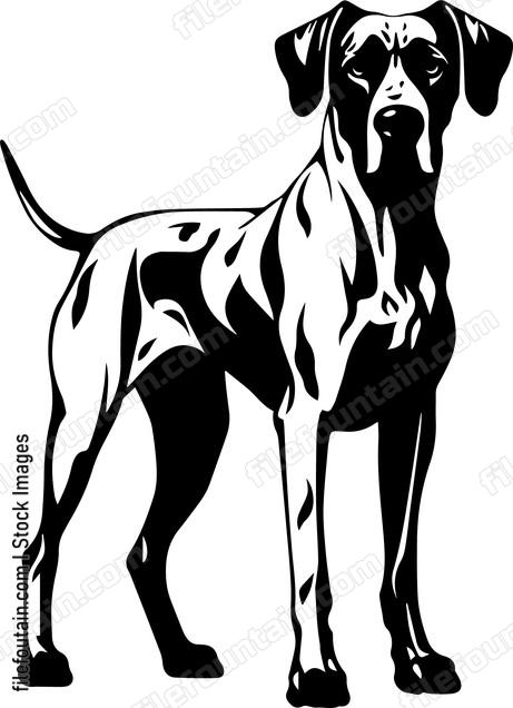 Great Dane