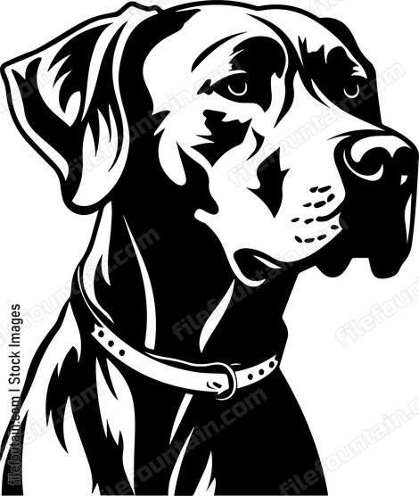 Great Dane