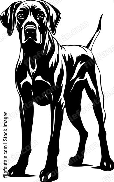 Great Dane