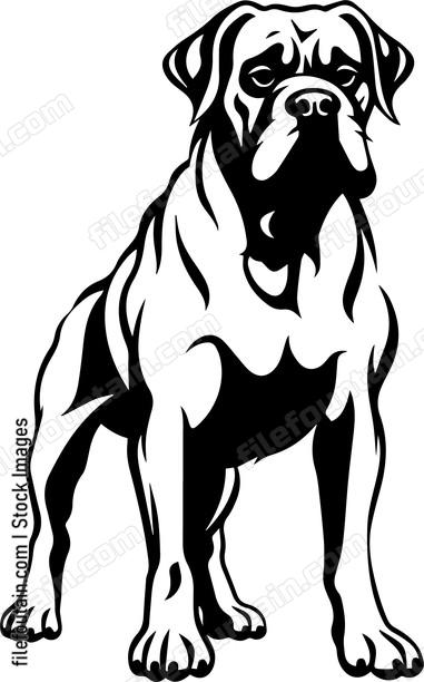 Great Dane