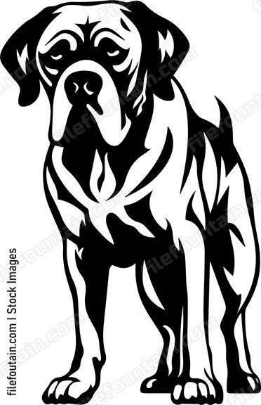 Great Dane