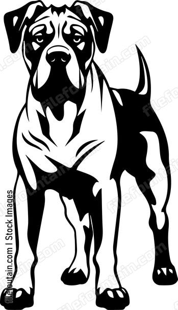 Great Dane