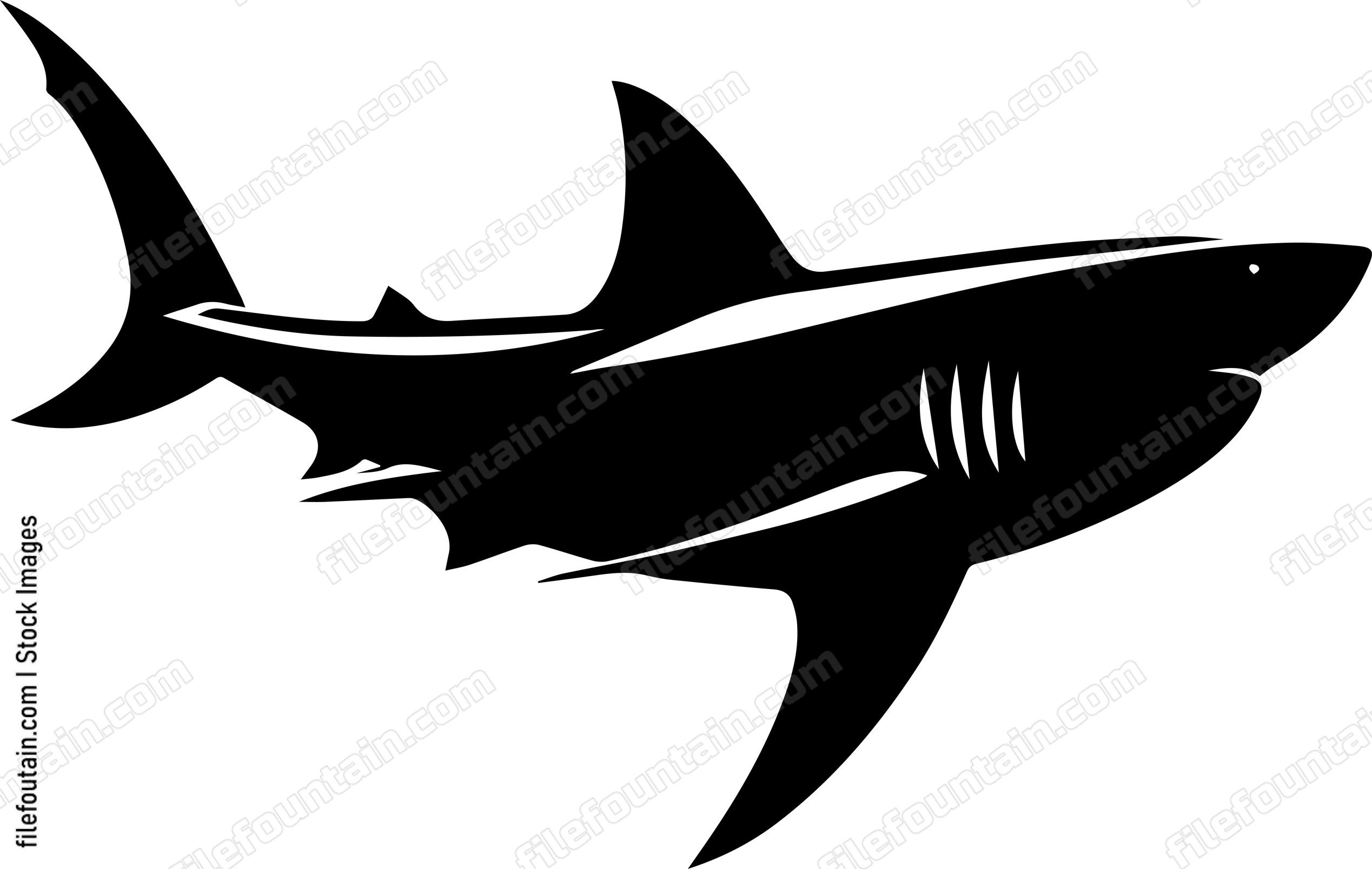 Great White Shark