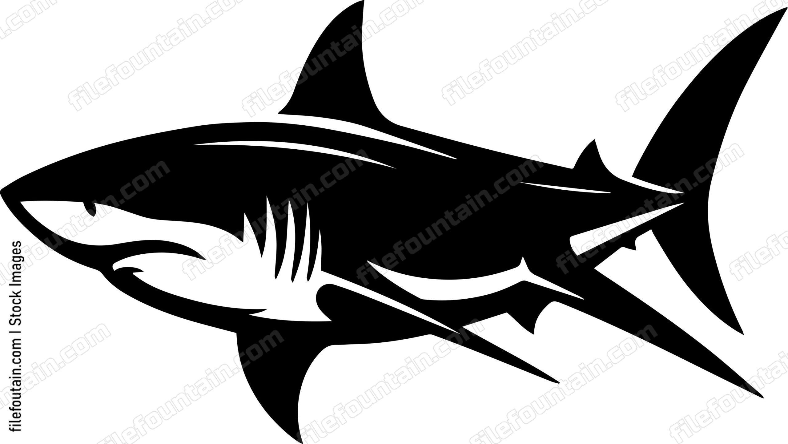 Great White Shark
