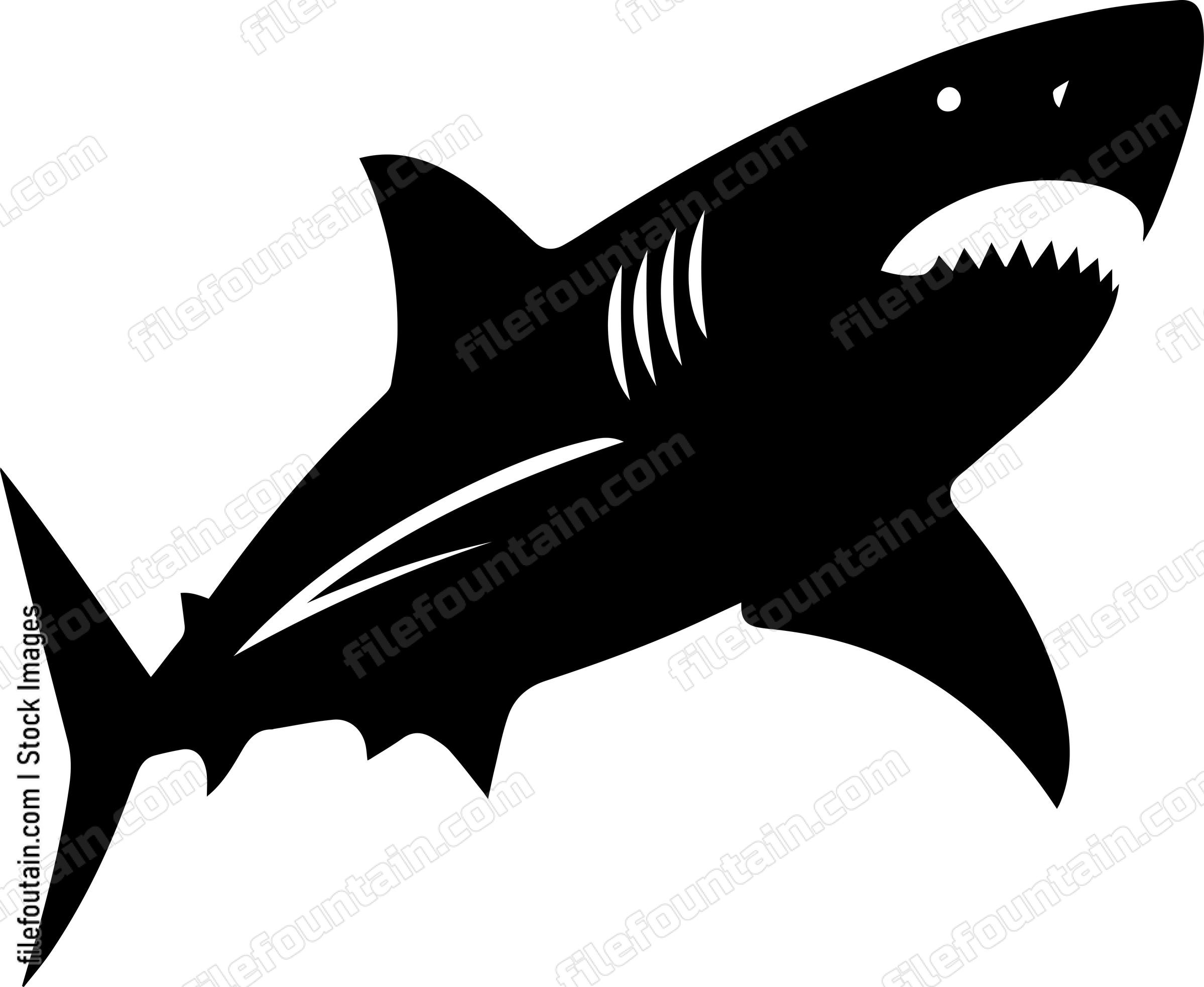 Great White Shark