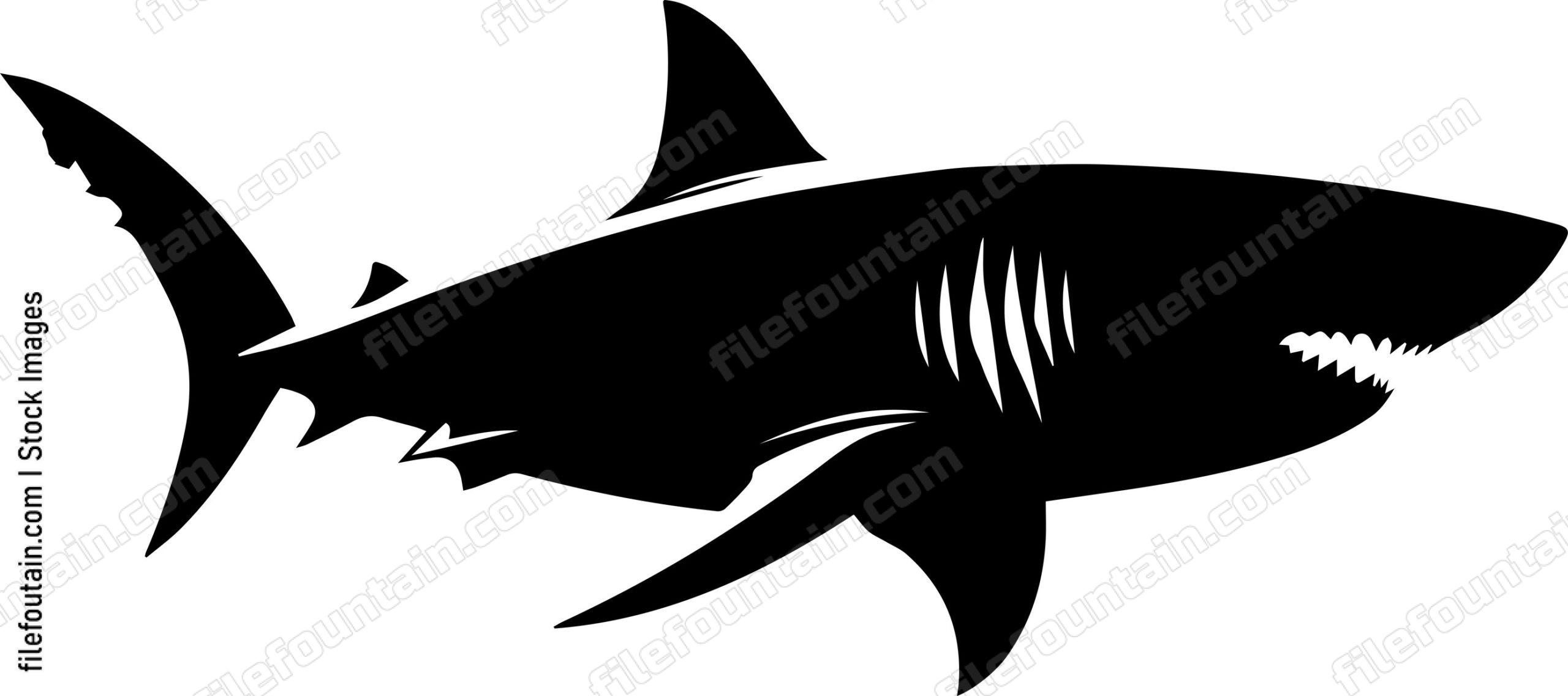 Great White Shark