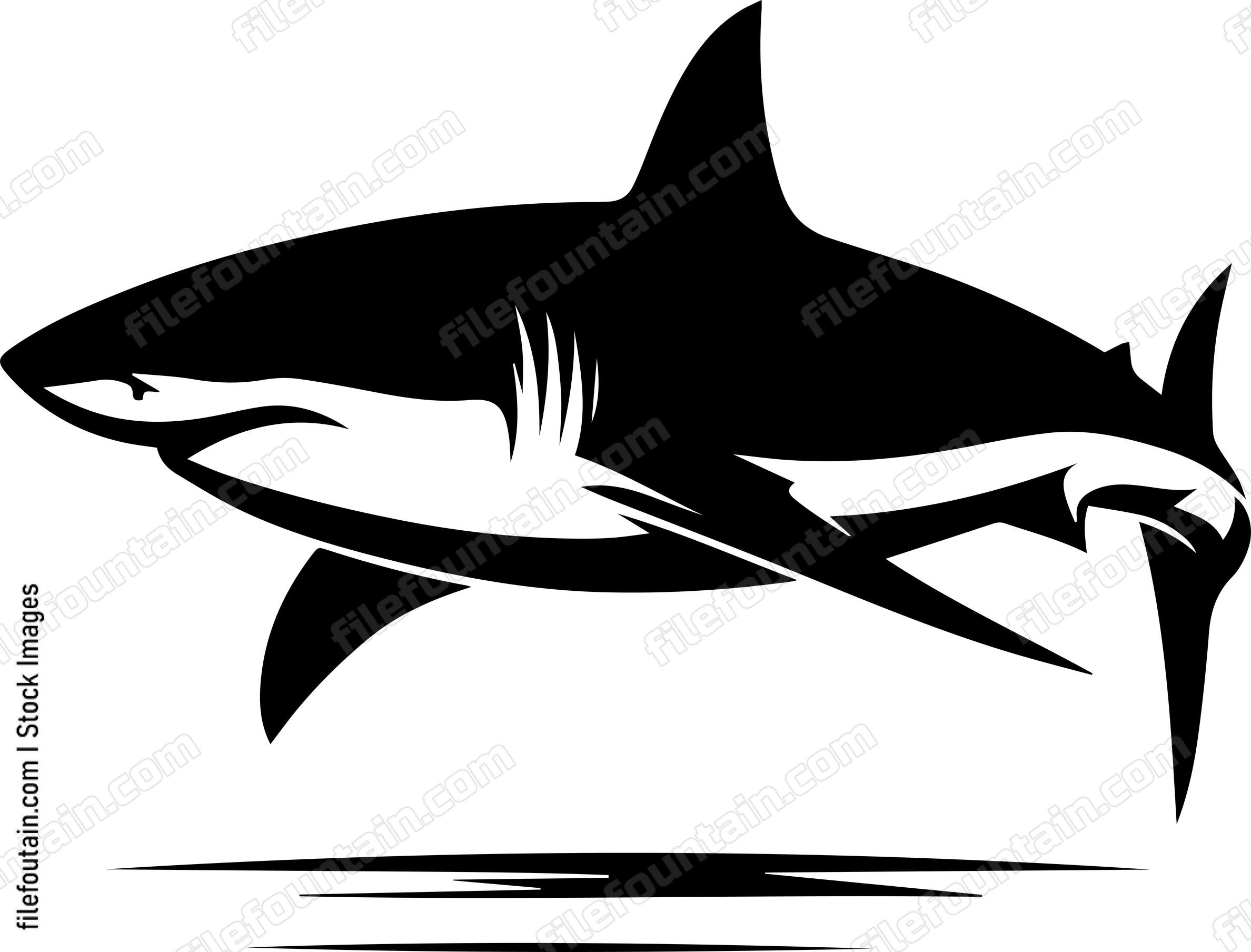 Great White Shark