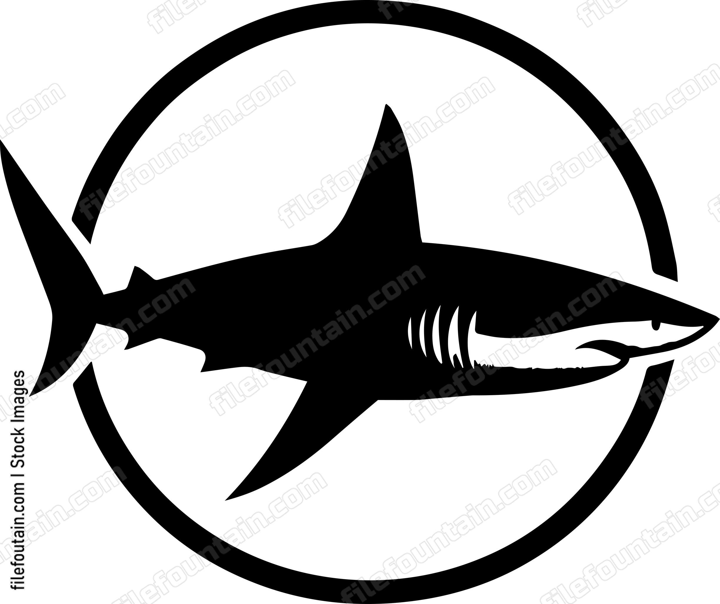 Great White Shark