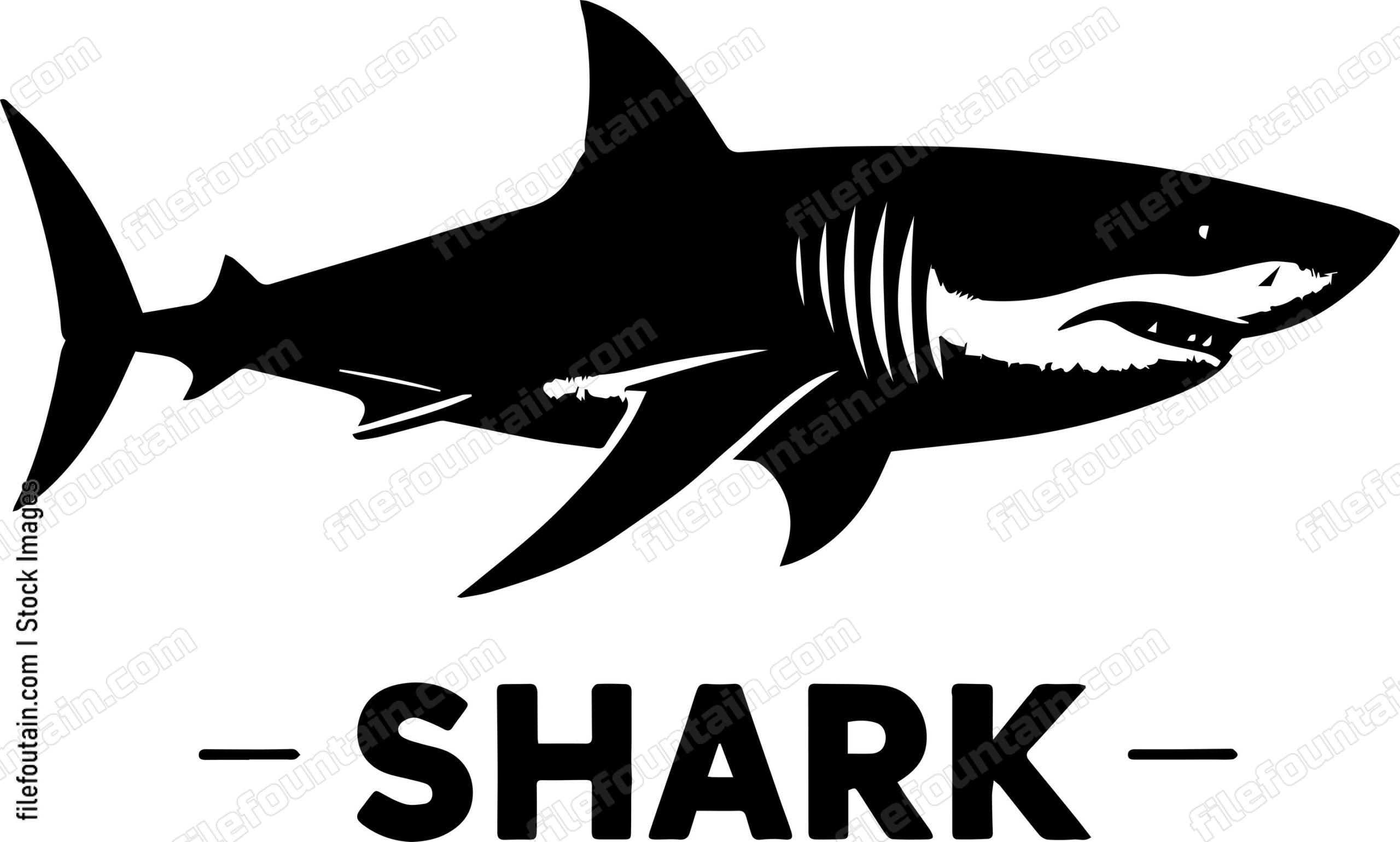Great White Shark