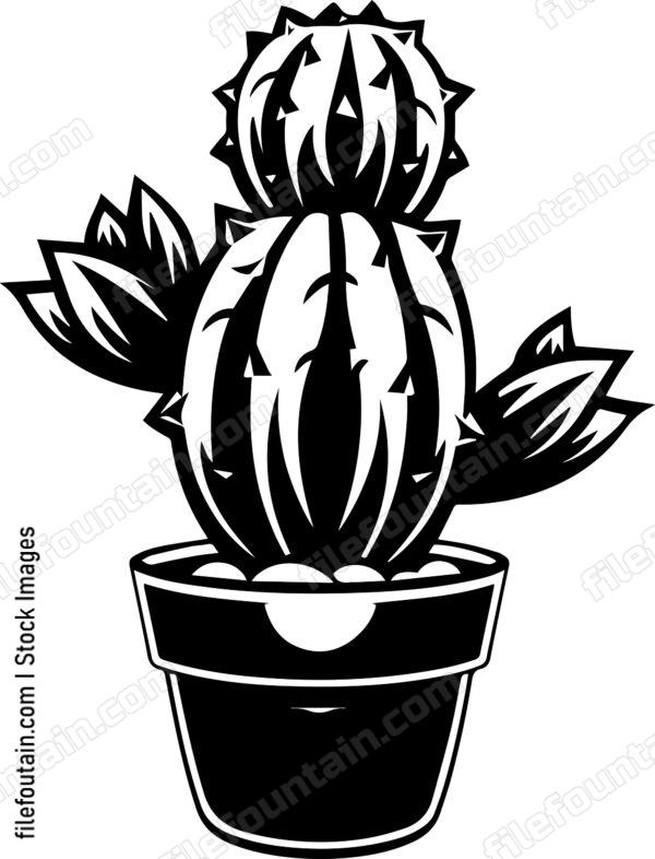 Green Cactus