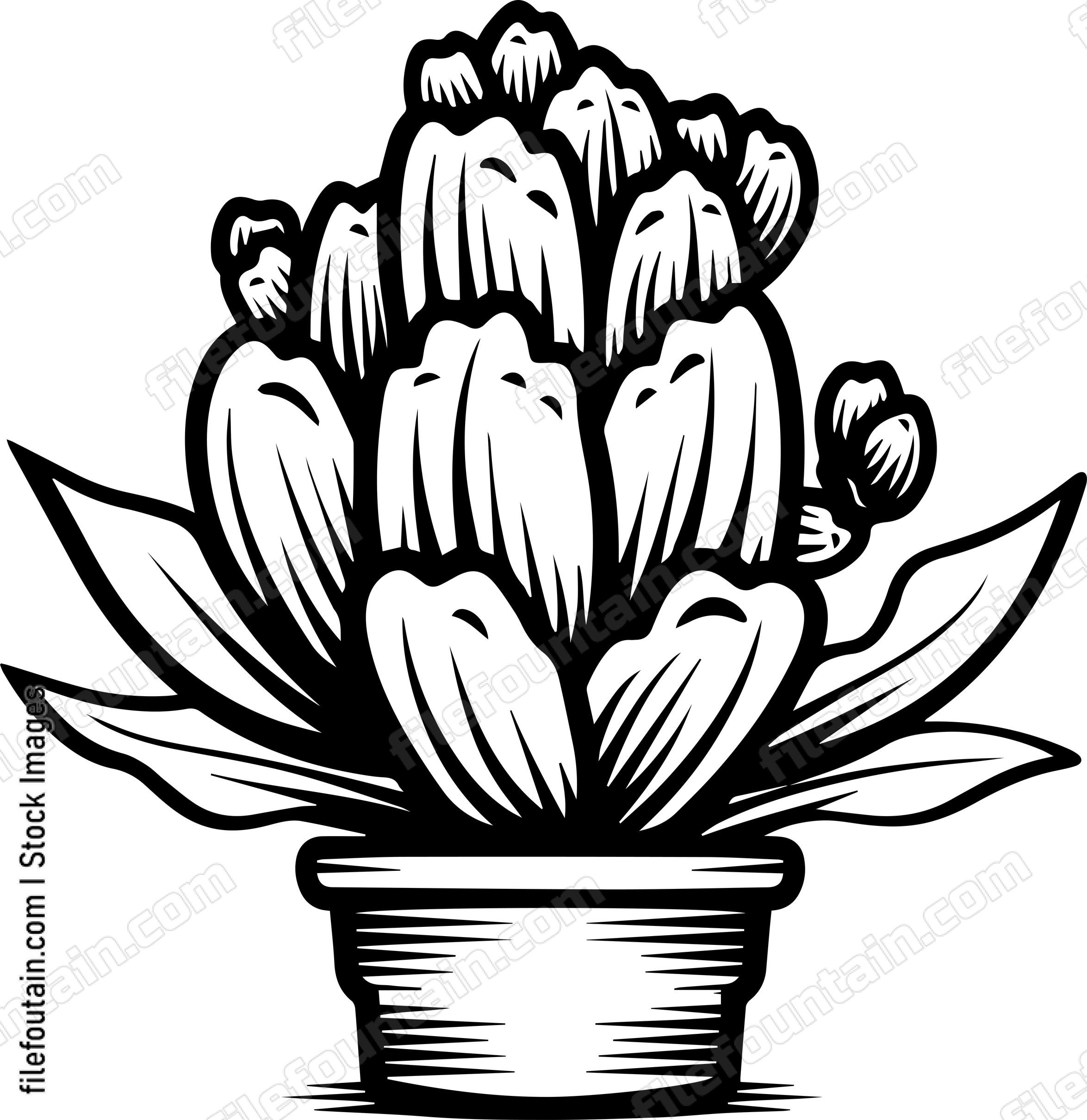 Green Cactus