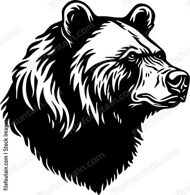 Grizzly Bear