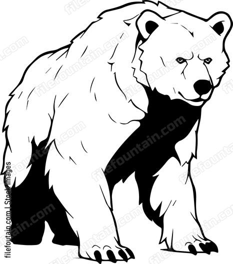 Grizzly Bear Standing On Feet