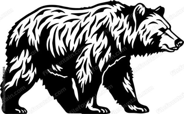 Grizzly Bear Standing On Feet