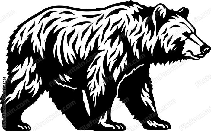 Grizzly Bear Standing On Feet