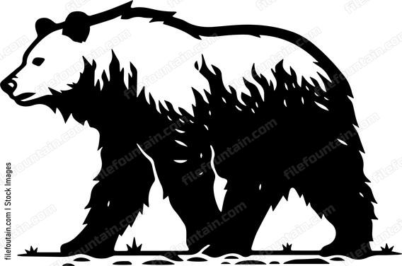 Grizzly Bear Standing On Feet