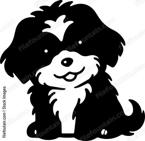 Havanese