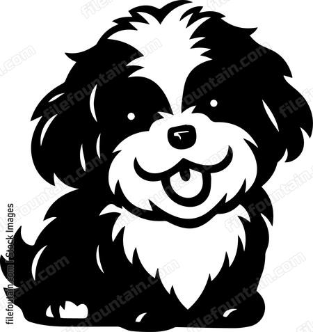 Havanese