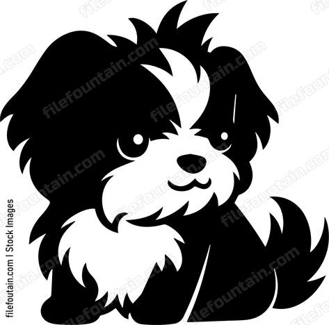 Havanese