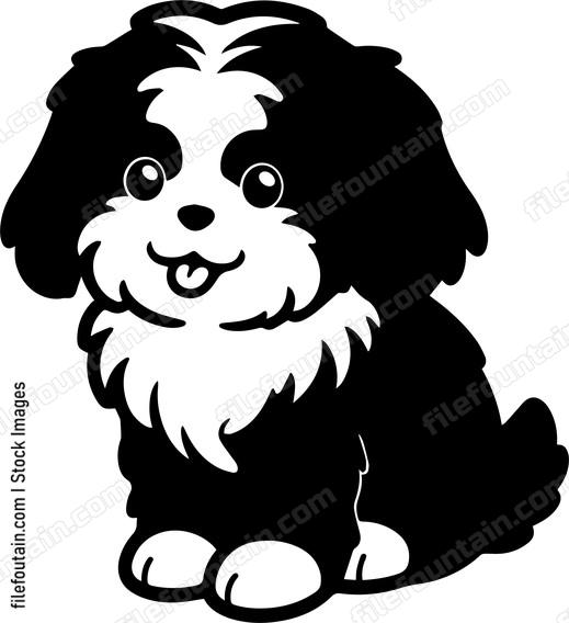 Havanese