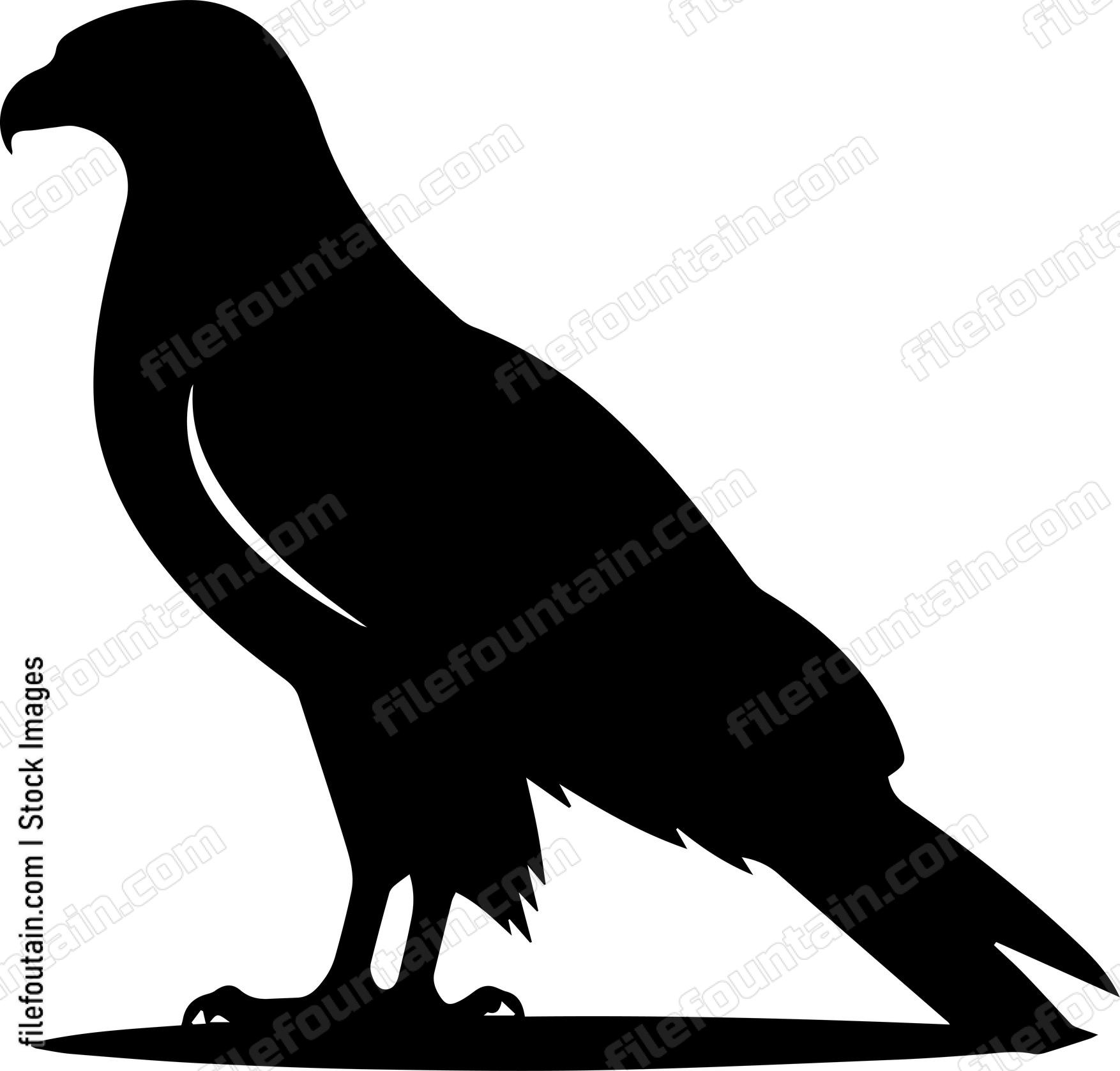 Hawk